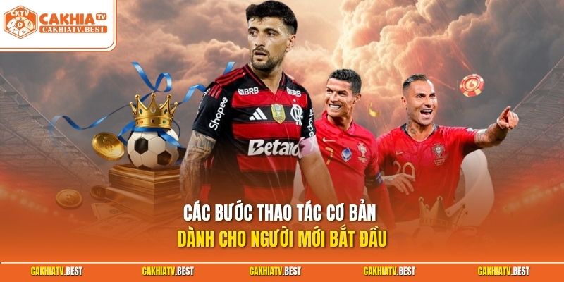 Các bước thao tác cơ bản dành cho người mới bắt đầu