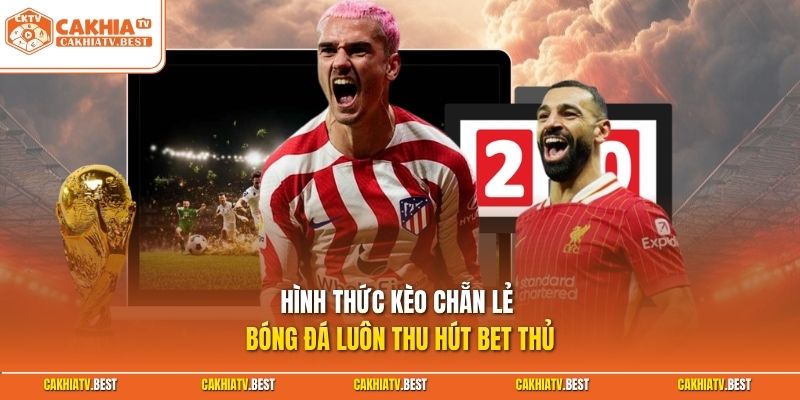 Hình thức kèo chẵn lẻ bóng đá luôn thu hút bet thủ