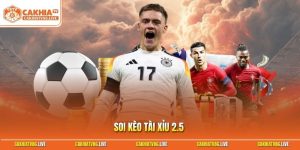 Soi Kèo Tài Xỉu 2.5