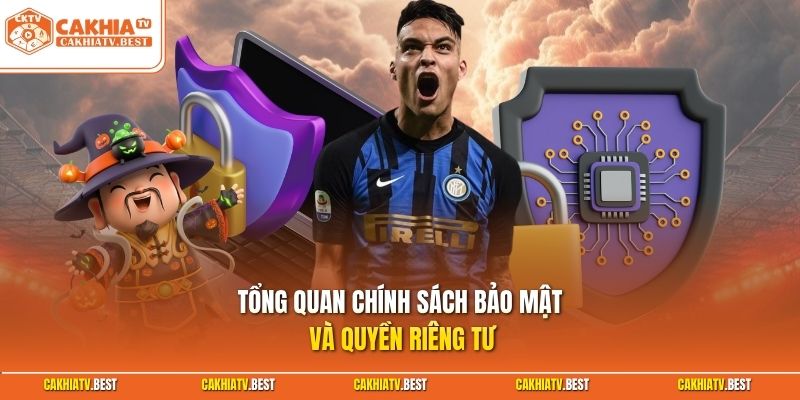 Tổng quan chính sách bảo mật và quyền riêng tư